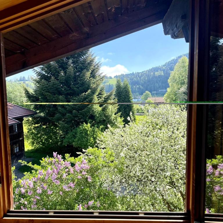 Ferienwohnung DachZeit - Apartment mit 2 Schlafzimmern - 16