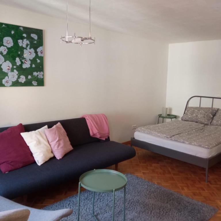 Altstadtperle - wohnen mittendrin - - Apartment mit Dusche - 3