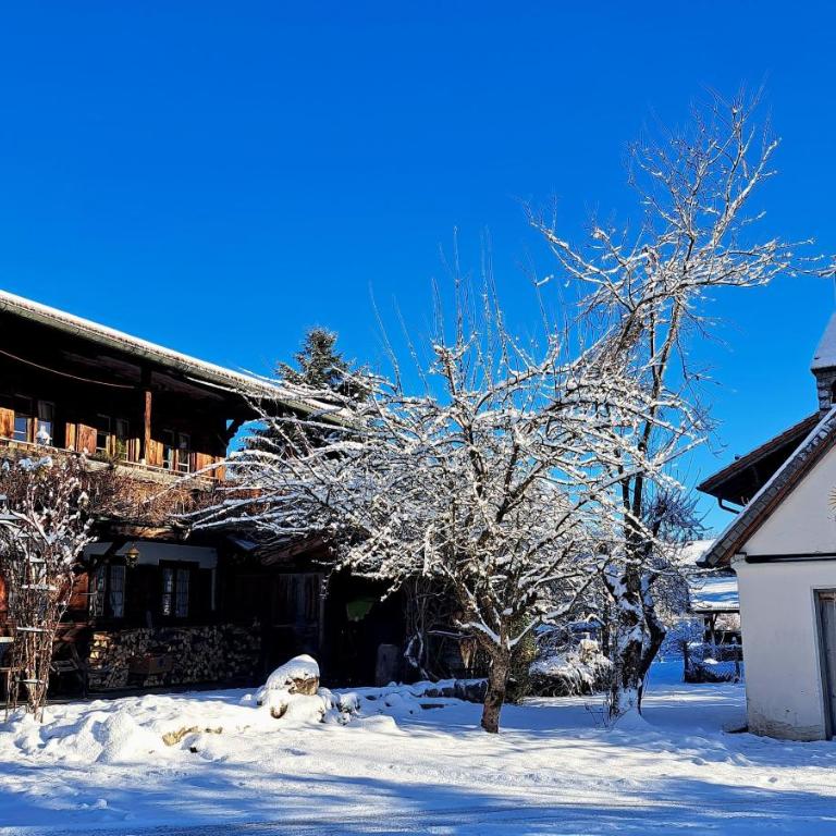 Ferienwohnung DachZeit - Apartment mit 2 Schlafzimmern - 30