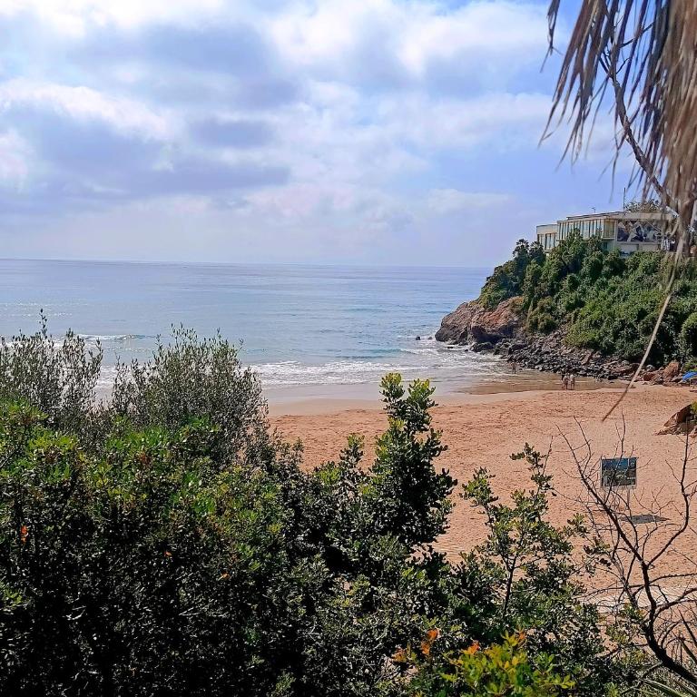 Verde y Mar Loft - Apartment - Ground Floor - 29