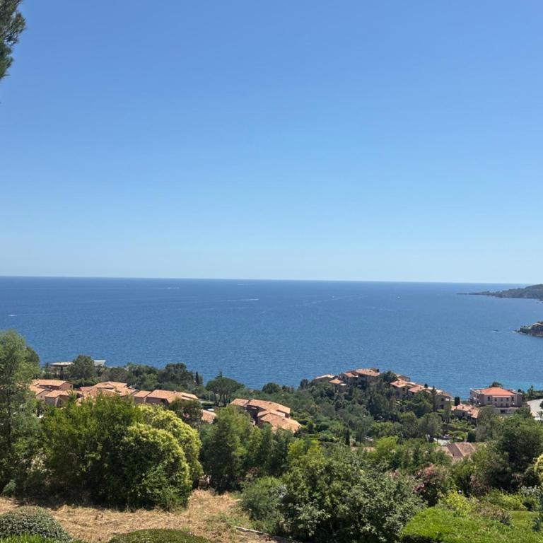 Au calme ! Vue Mer et Terre - Appartement 1 Chambre - 7