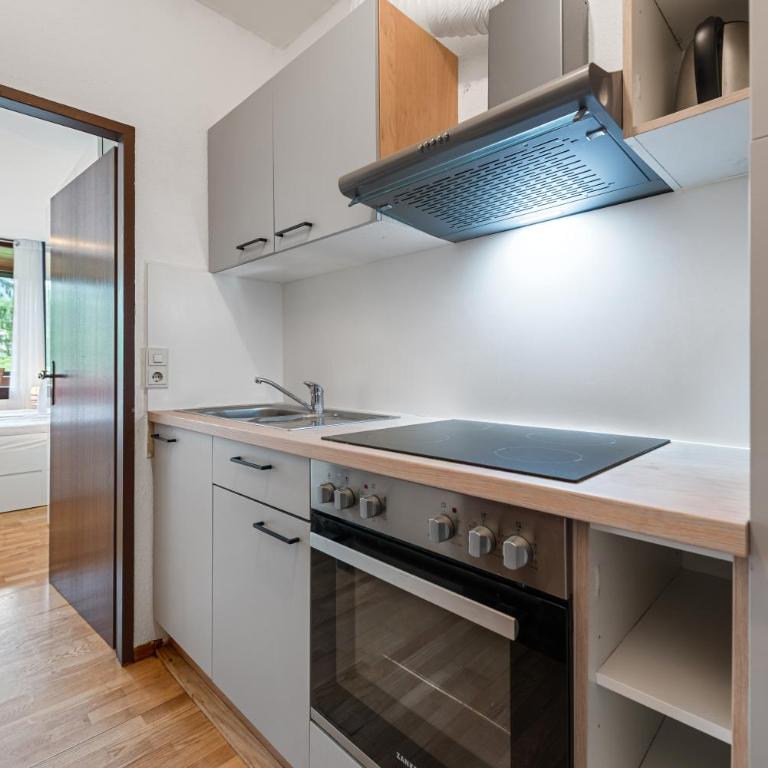 Riverview Apartment - Bad Aussee - Apartment mit 1 Schlafzimmer mit Flussblick - 4