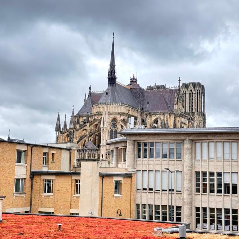 1Gabelle logement cosy proche cathédrale - Apartamento - 9