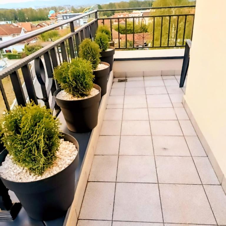 Buket Lux - Appartement 1 Chambre - 30