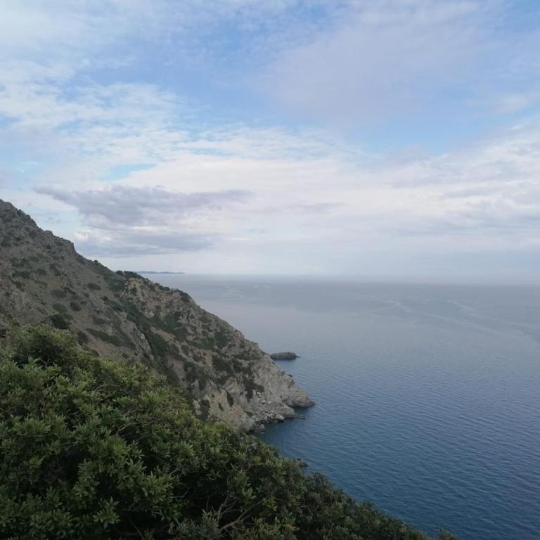 LA DOUCE BRISE - Sanary-sur-Mer - Appartamento con 2 Camere da Letto - 30