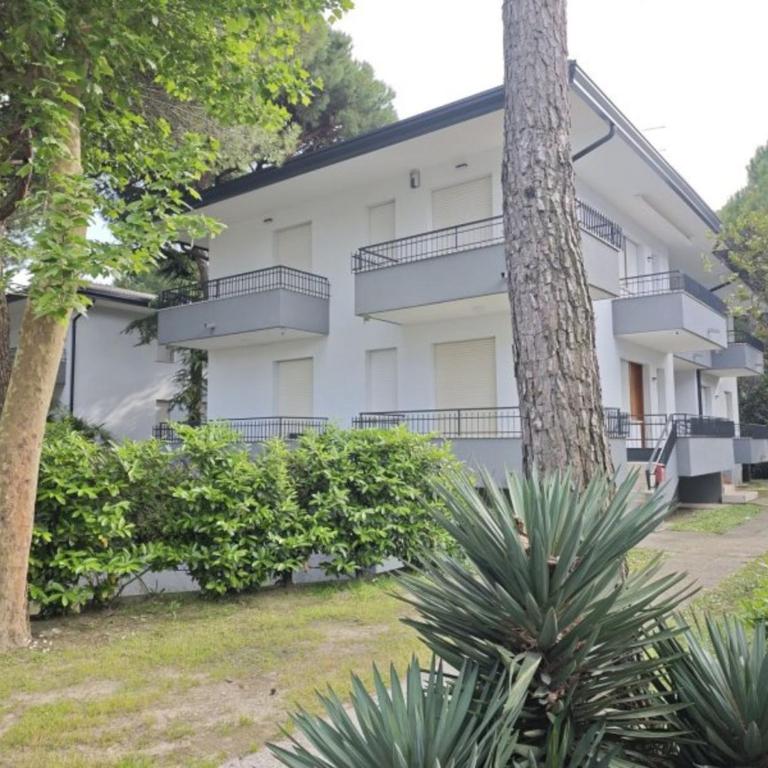 Welcoming apartment nestled in the Pine Forest - Appartamento - 2