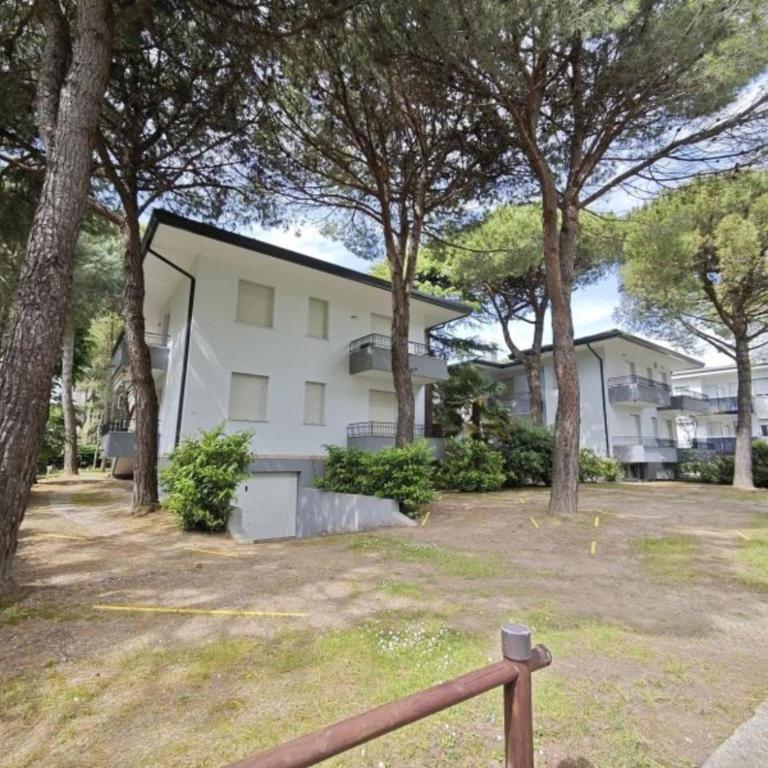 Welcoming apartment nestled in the Pine Forest - Appartamento - 13