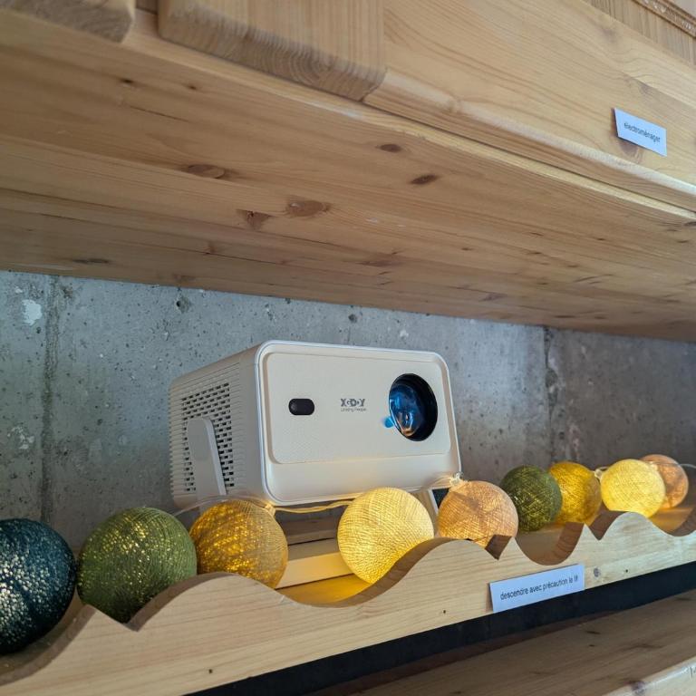 Studio Cocon au Grand-Bornand - Appartamento con 1 Camera da Letto - 6