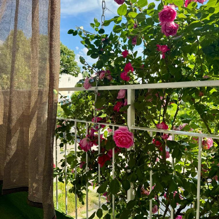 Rose Nest Airport Apartment - Balcony - Free Parking - Apartment - 14
