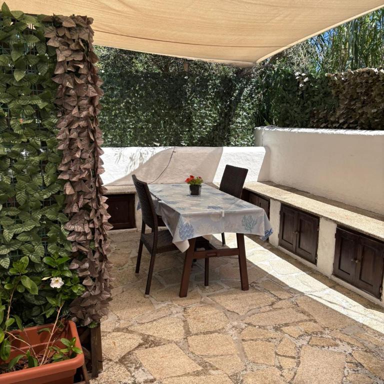 Cozy studio immersed in the countryside - Casa con 1 Camera da Letto - 3