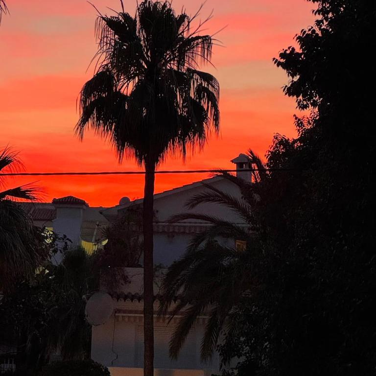 Acogedor apartamento en Denia - Appartement - 52