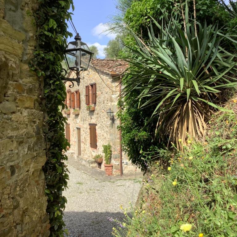 Ellera suite Country Barn in Lucca olive Grove - Suite con Vista Giardino - 6