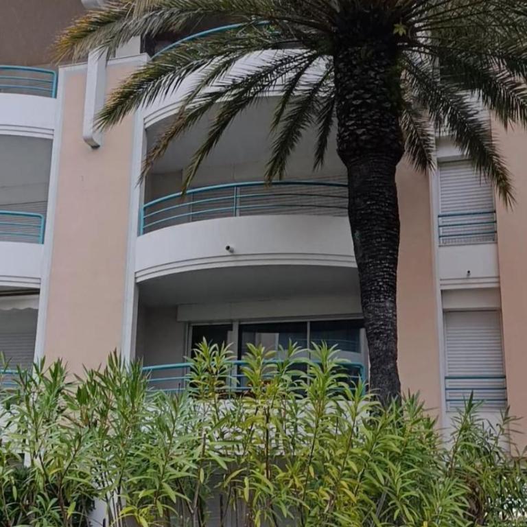 Appartement avec piscine - Appartement - 14