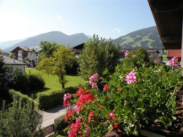 Apart Kofler's Panorama-Zillertal*** - Apartment mit 2 Schlafzimmern - 15