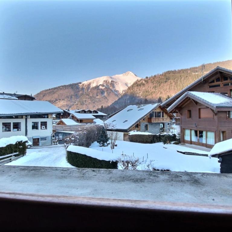 Appartement à 600m des remontées mécaniques, centre Morzine, chalet les Joux - Appartamento con 1 Camera da Letto - 3