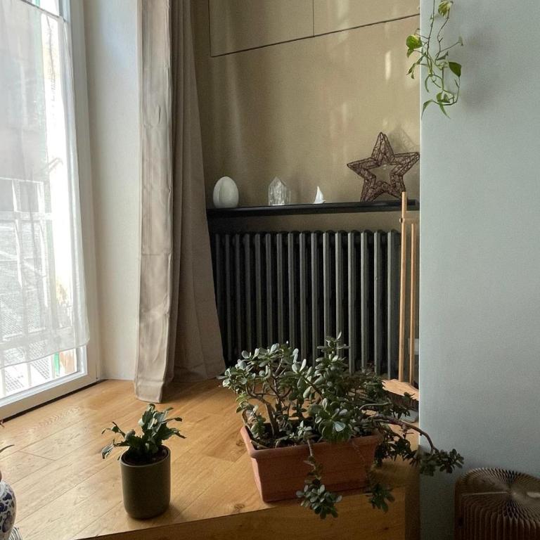 GenovaGreentosa-Piccola Residenza della Sostenibilità - Suite Deluxe - 10