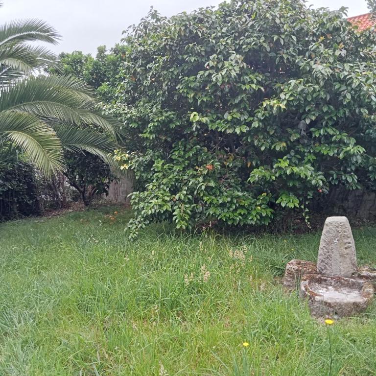 El capricho de la Providencia - Casa con 1 dormitorio - 25