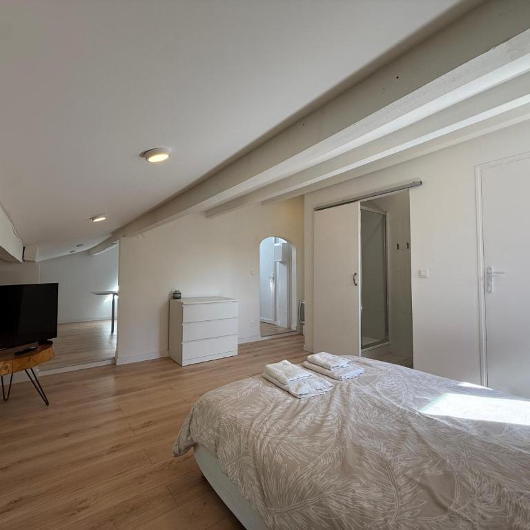 Cocon climatisé sous les combles - Appartement 1 Chambre - 3
