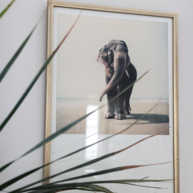 Appartement villa privée Paris 9ème - Apartamento Premium de 3 dormitorios con balcón - 18