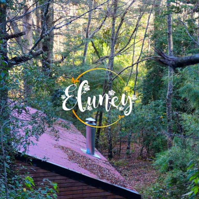 Cafeteria y cabañas Eluney - Koigue - One-Bedroom House - 47