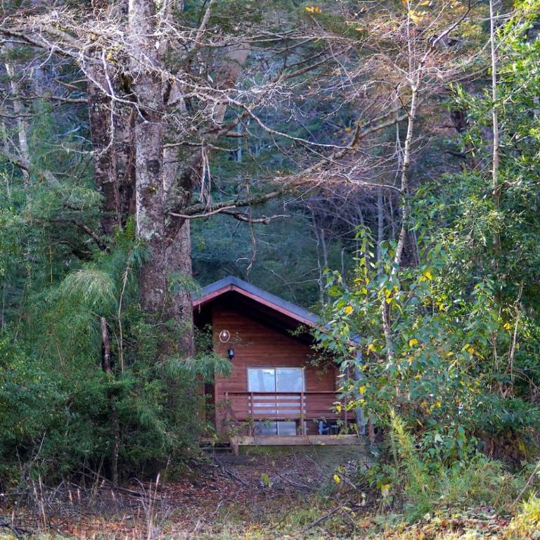Cafeteria y cabañas Eluney - Koigue - One-Bedroom House - 48