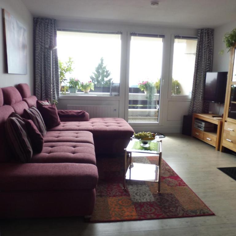Komfortable Wohnungen und Studio in Sankt Englmar - Apartment mit schöner Aussicht - 33