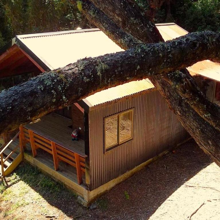 Cafeteria y cabañas Eluney - Koigue - One-Bedroom House - 53