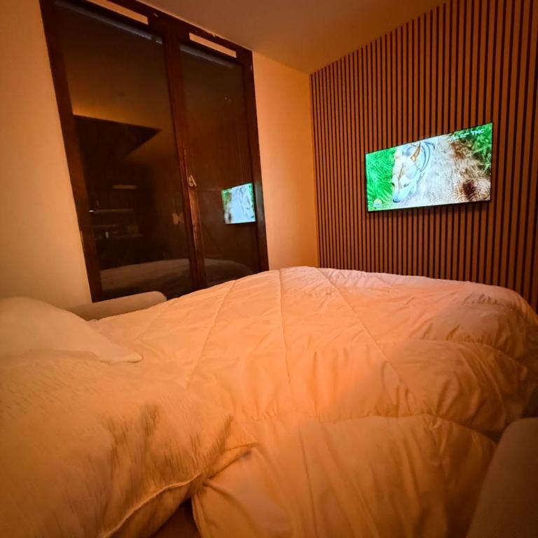 Appartement - One-Bedroom Apartment - 16