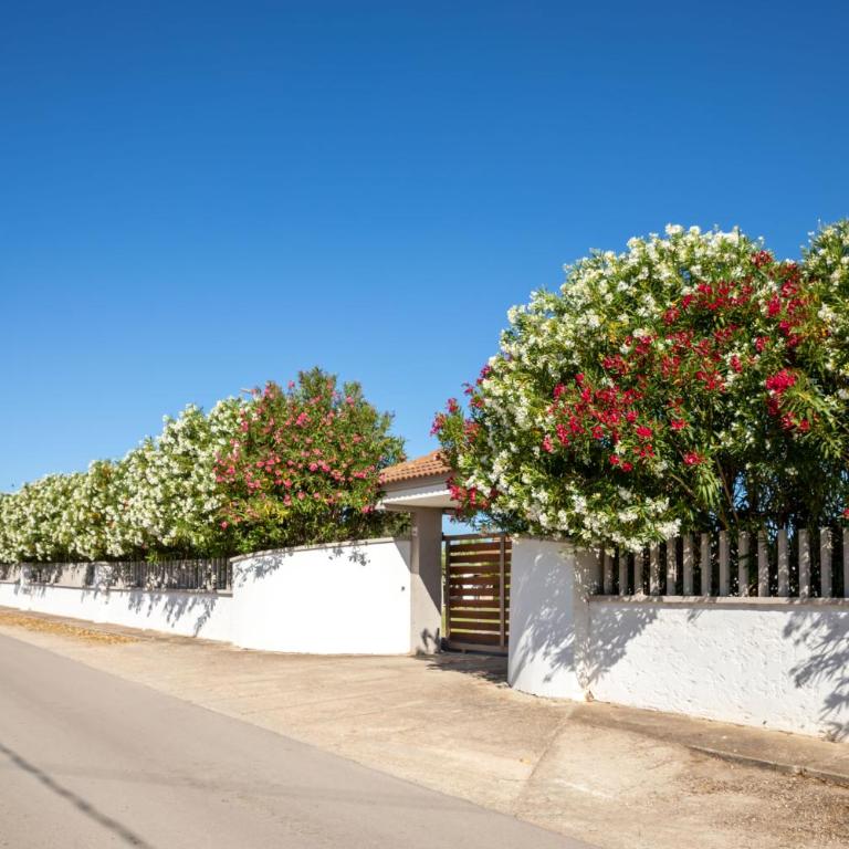 Villa Blanc Alghero - Villa - 39