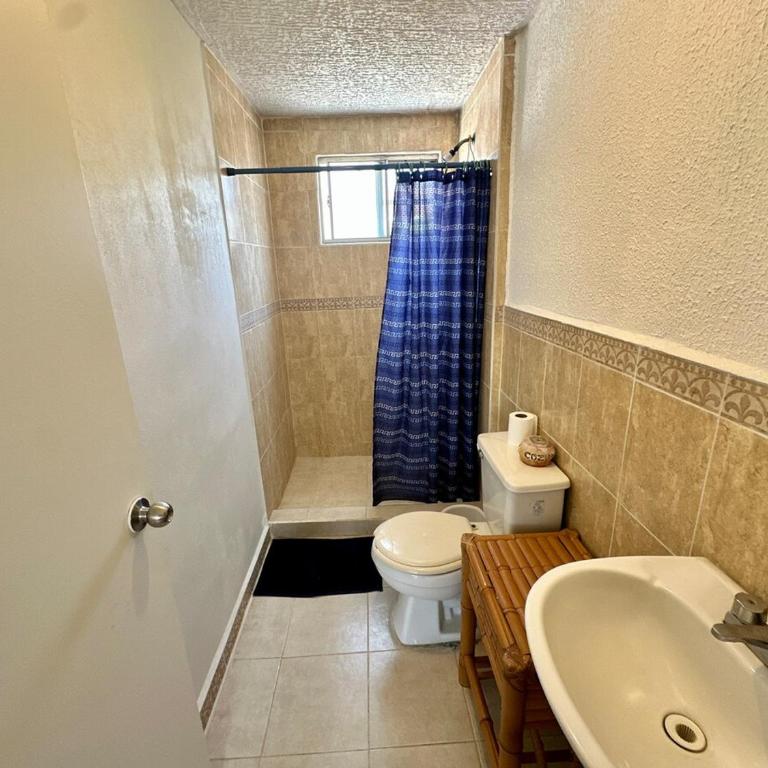 3 bedroom house with pool and palapa Acapulco - Casa de 3 dormitorios - 50