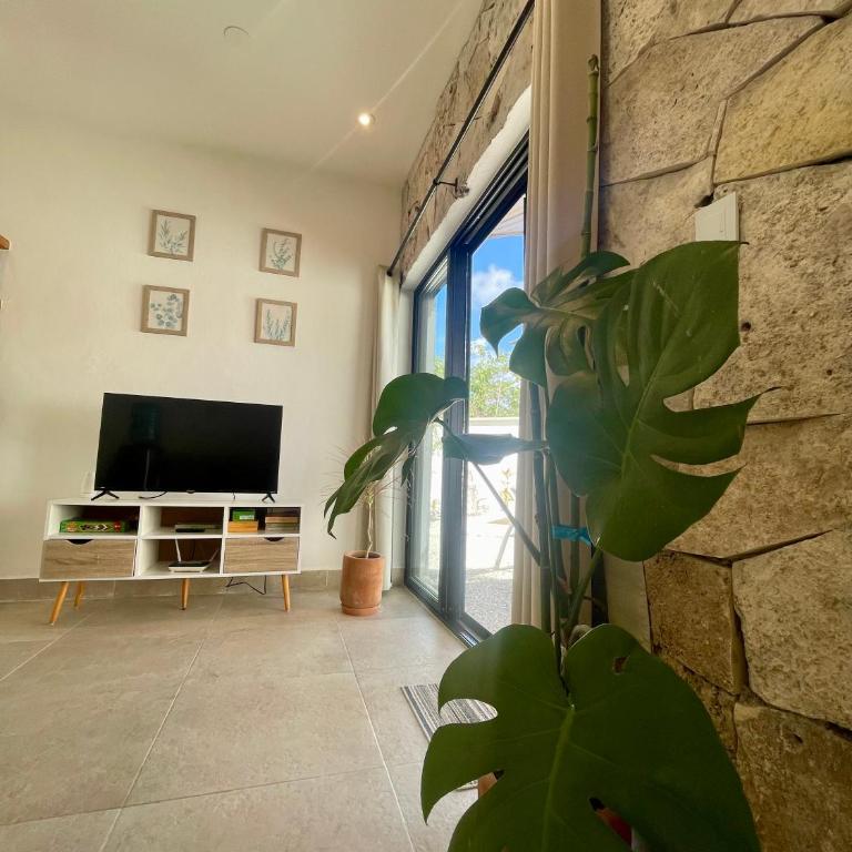 Casa Arena Cozumel - Haus mit 1 Schlafzimmer - 37