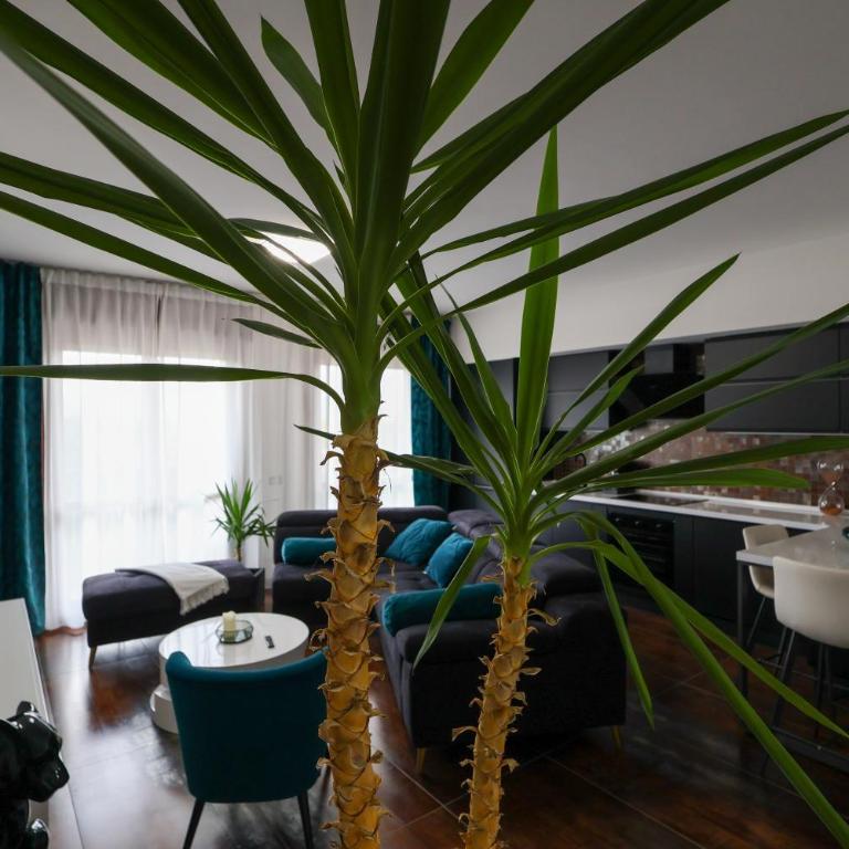 Blu Petrolio Stay-Karabas Apartments-parcheggio - Appartamento con 2 Camere da Letto e Terrazza - 22