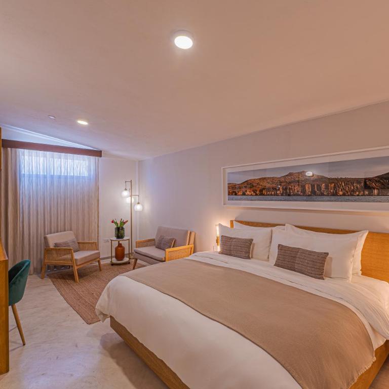 Abasolo Clubhouse - Habitación Superior con cama extragrande - 1