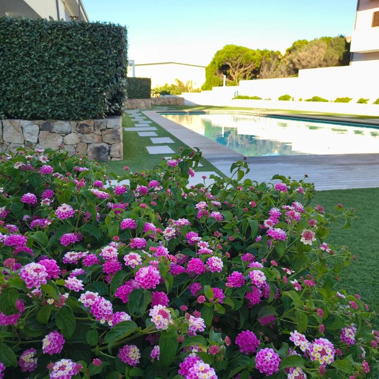 The pool house - Il Gabbiano - Appartamento con 2 Camere da Letto - 5