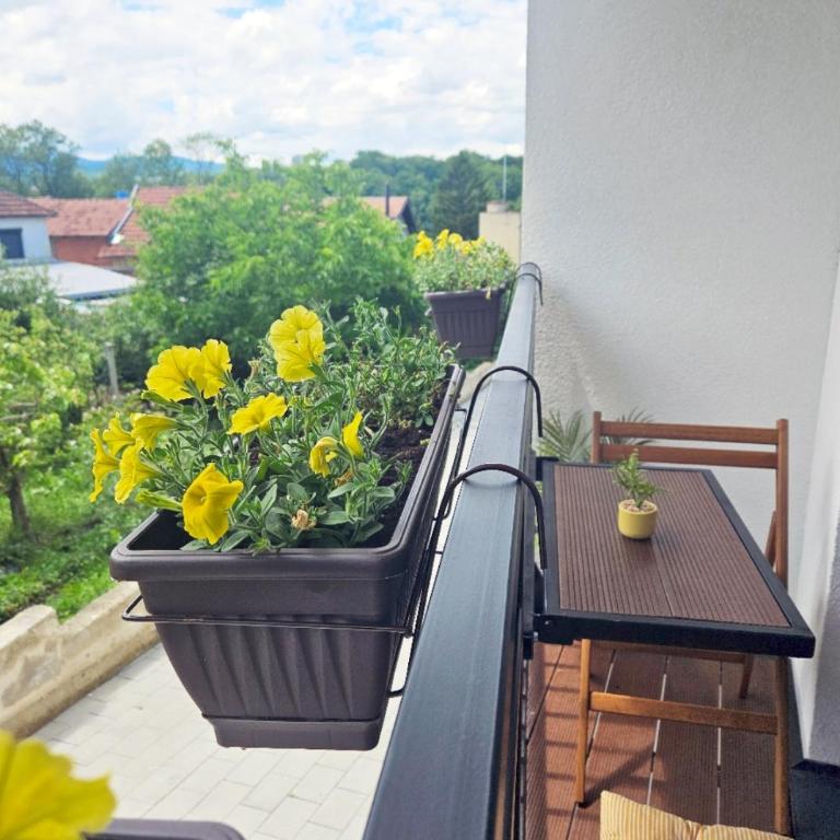 Moj Mir - Appartement 1 Chambre - 4