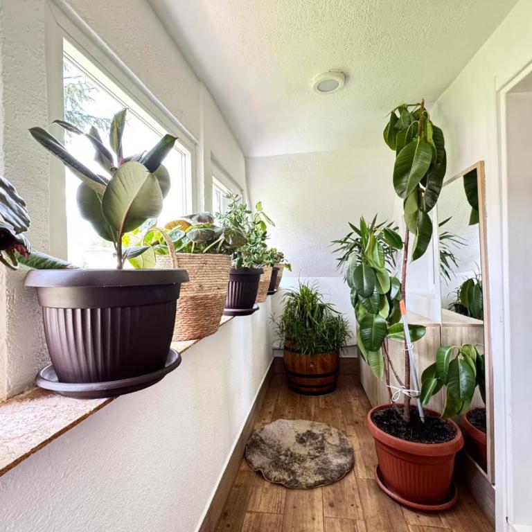 The Secret Garden Retreat - One-Bedroom House - 4