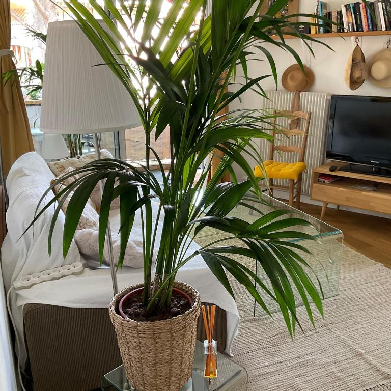 Mer et Esterel - Appartement 1 Chambre - 24