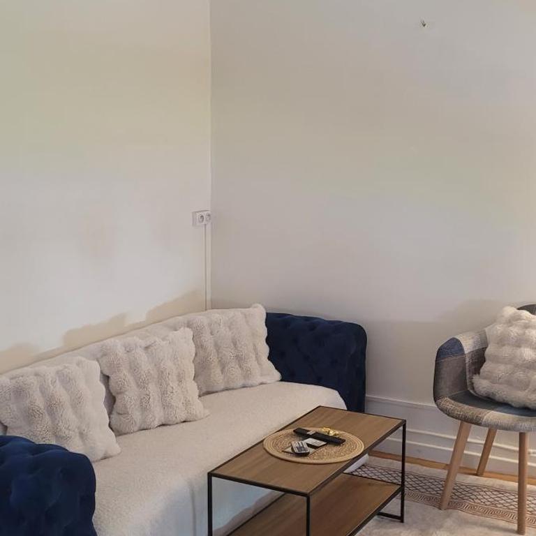 appartement t2 - Appartement 1 Chambre - 2