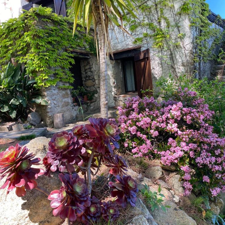Mas Senyarich - Maison 2 Chambres - 12