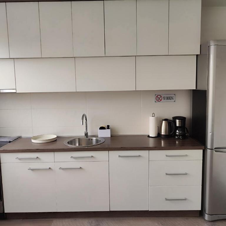New Belgrade Roses Apartment - Appartement 1 Chambre - 17
