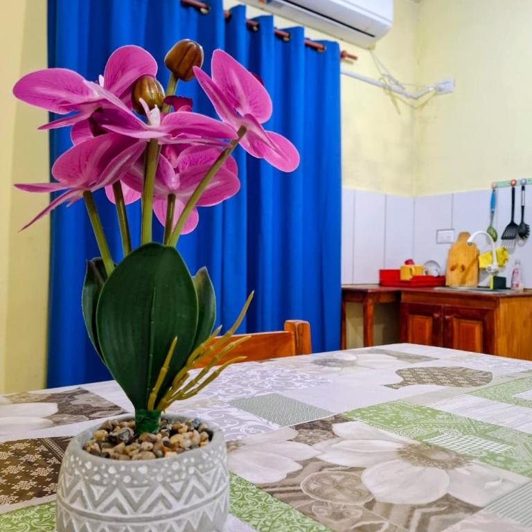 Apart Venecia - Apartamento - Planta baja - 6