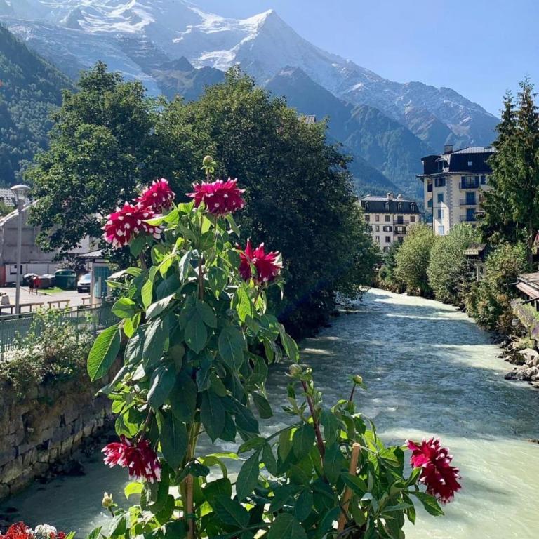 Spacious family nest with balcony in Chamonix - Apartamento - 14