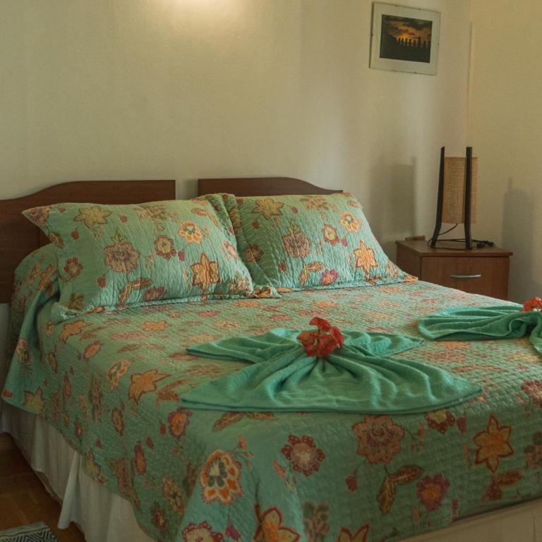 Hostal Y Cabañas Aorangi - Deluxe Bungalow with Garden View - 7