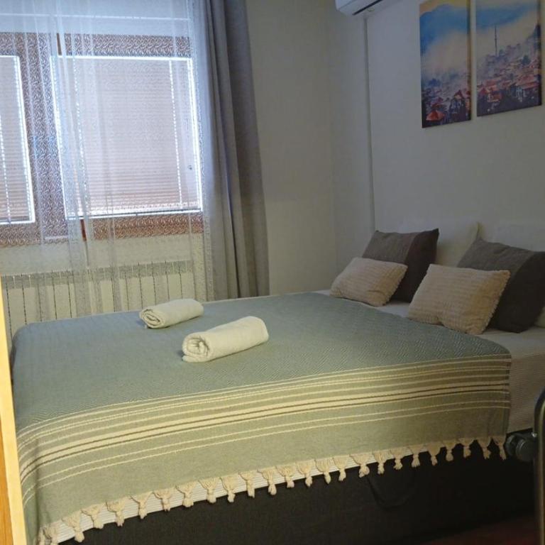 Apartman sa garažom i internetom - Apartman sa 1 Spavaćom Sobom - 3