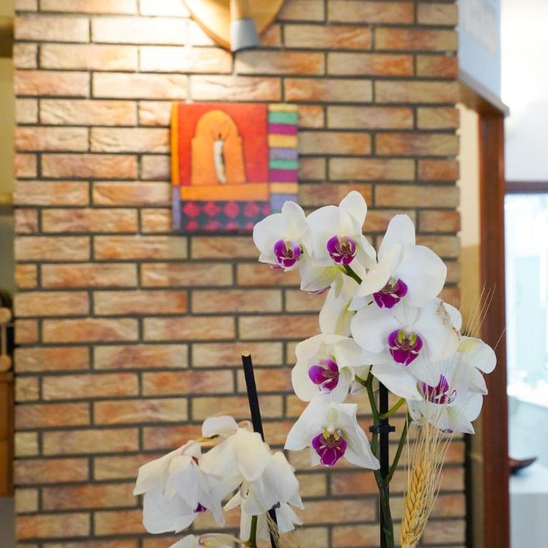 Casa Del Colle - Appartamento con 2 Camere da Letto - 2
