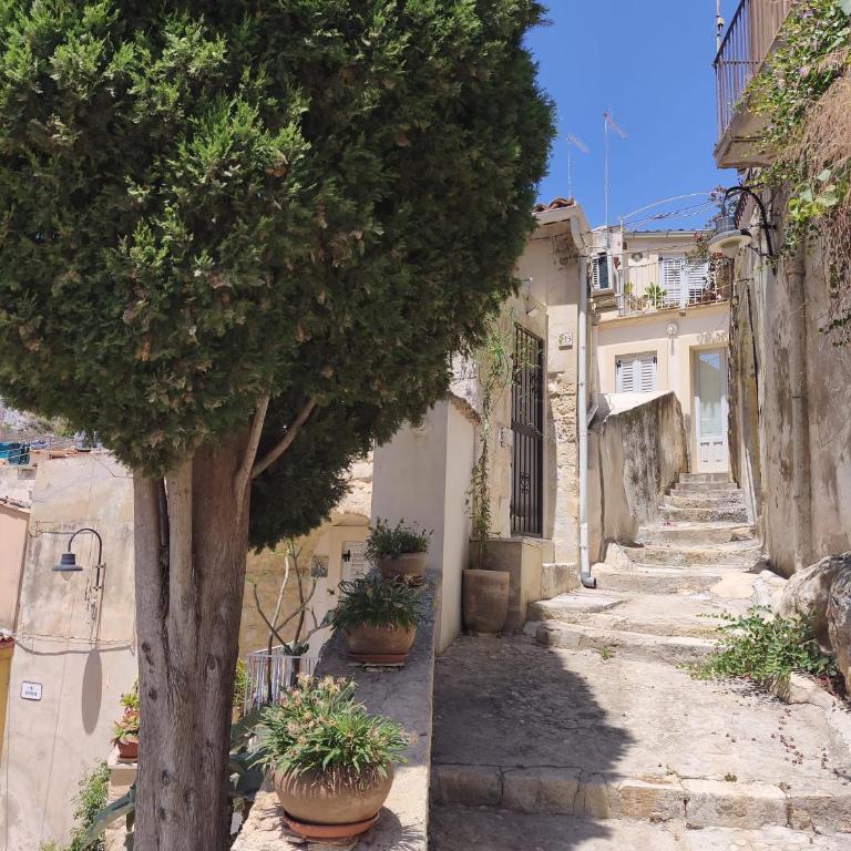 Casa AL PINO - Appartamento con 1 Camera da Letto - 30