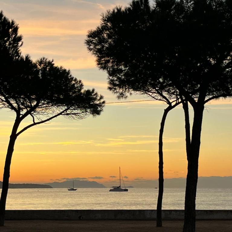 Ciotat Cherry - au coeur de La Ciotat à 2 pas du port - Apartamento de 1 dormitorio - 17