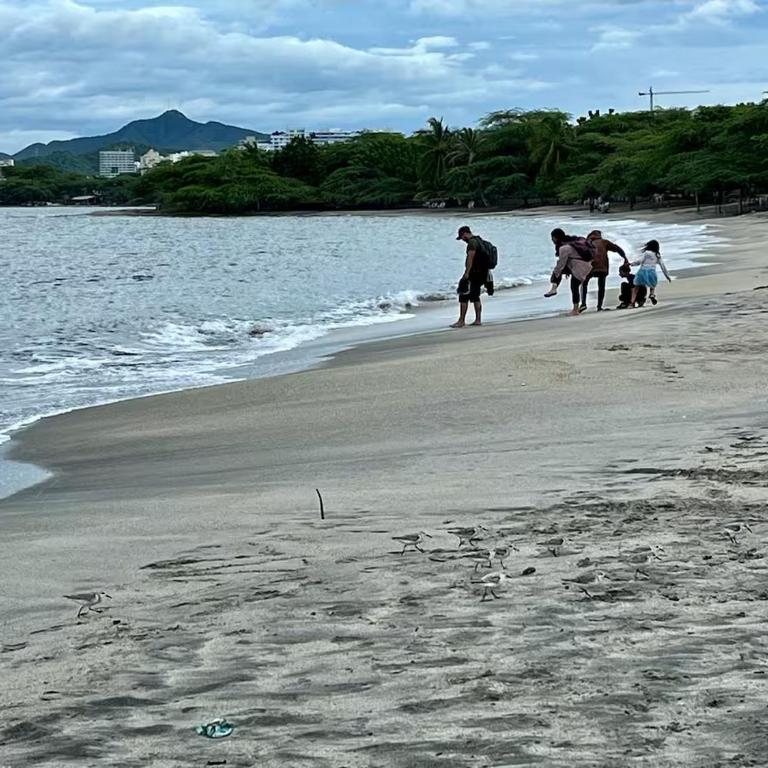Mansión de Ensueño en Playa Dormida con Piscina - Villa - 36