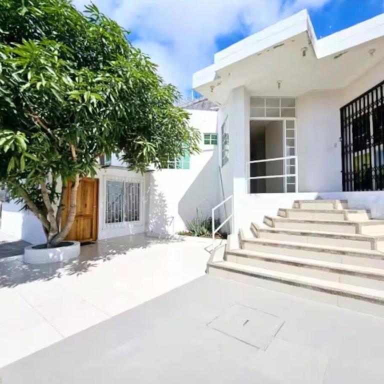 Galápagos Shark Apartment - Two-Bedroom Apartment - 14