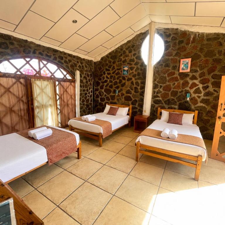 Penguin Hostel - Triple Room - 7